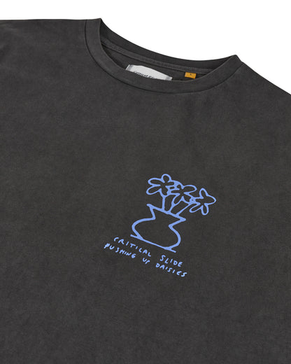 Daisy Tee