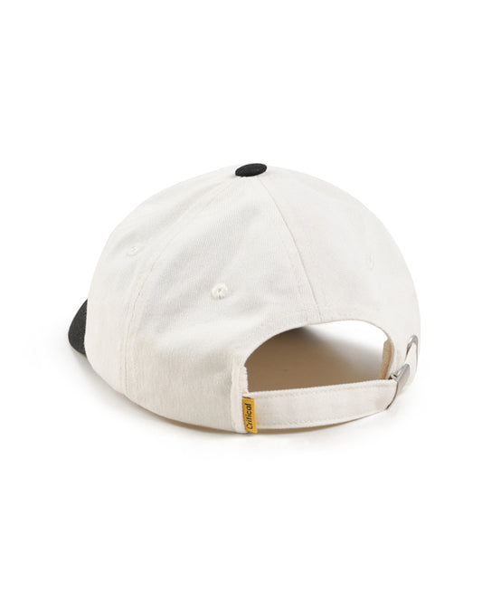 Institute Dad Cap